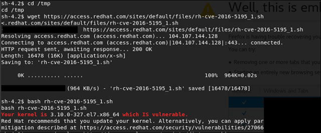 Kiểm tra Kernel có bị lỗ hổng không