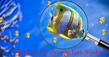 Phóng to, thu nhỏ màn hình máy tính với Magnifier trên Windows 7