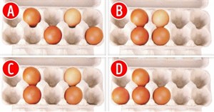 Trắc nghiệm vui: Chọn vị trí đặt trứng sẽ tiết lộ chính xác điểm mạnh của bạn