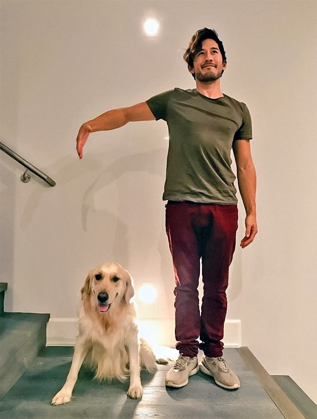 Ảnh chụp chung với thú cưng