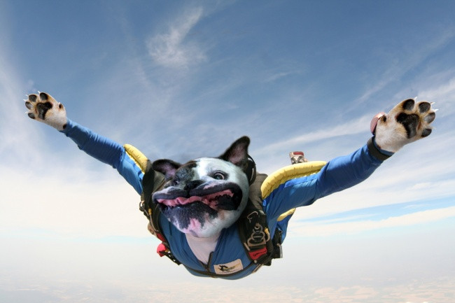 Bắt lấy em, chiếm lấy em đi!