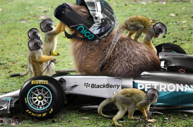 Làm việc teamwork!