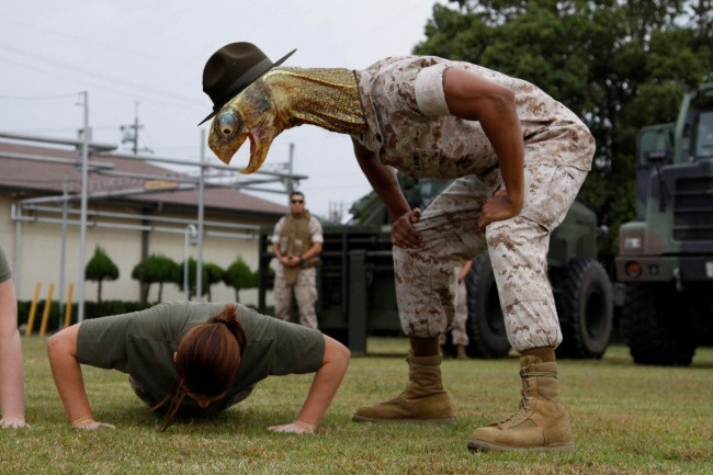 Tại sao làm chậm như vậy?