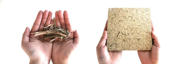 Tái chế chất thải nông nghiệp 