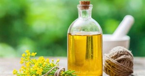 Dầu canola có thể gây hại cho não