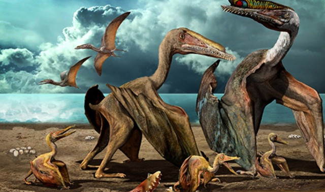 Hơn 200 hoá thạch trứng bò sát tìm thấy ở Trung Quốc