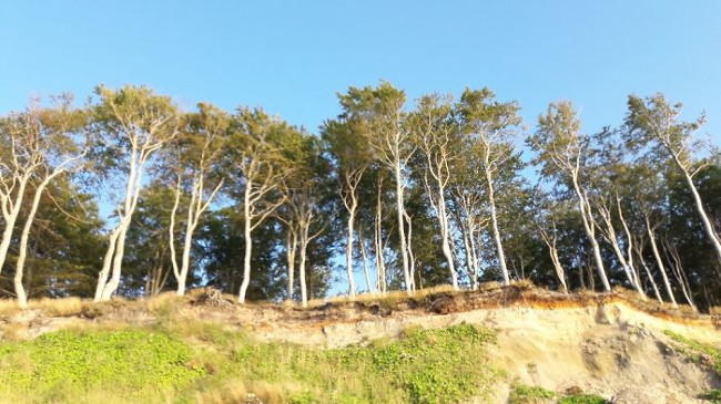 Nhờ chụp ảnh gia đình mà không có ai trong ảnh là sao vậy trời!