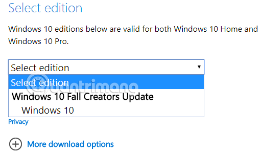 Chọn phiên bản Windows 10 để tải xuống