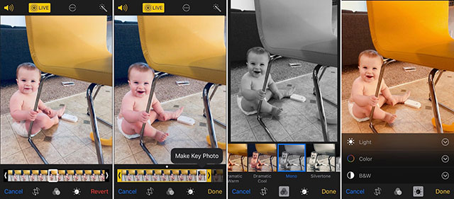 Live Photos đã trở nên rất hot trên iPhone