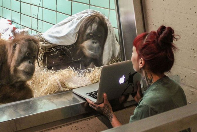 Nên có thái độ tích cực hơn trên mạng xã hội