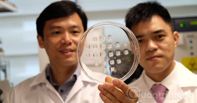 Miếng dán đốt cháy mỡ thừa