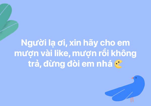 Ảnh chế siêu bựa theo ca khúc "Người lạ ơi" của cộng đồng mạng 4