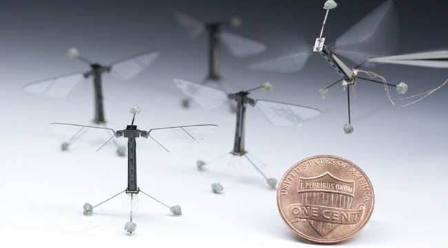 Robot tự trị nhỏ có thể suy nghĩ và hành động như côn trùng