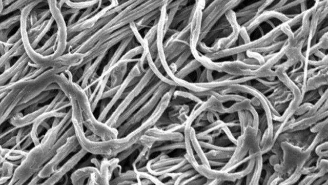 Sợi nano kết hợp mới có độ bền cao vừa ra mắt