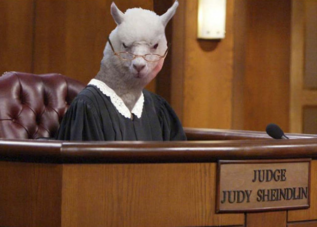 Bộ ảnh siêu “bựa” sẽ khiến bạn khâm phục khả năng Photoshop của con người 6