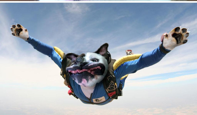 Bộ ảnh siêu “bựa” sẽ khiến bạn khâm phục khả năng Photoshop của con người 12