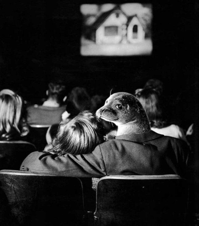 Bộ ảnh siêu “bựa” sẽ khiến bạn khâm phục khả năng Photoshop của con người 14