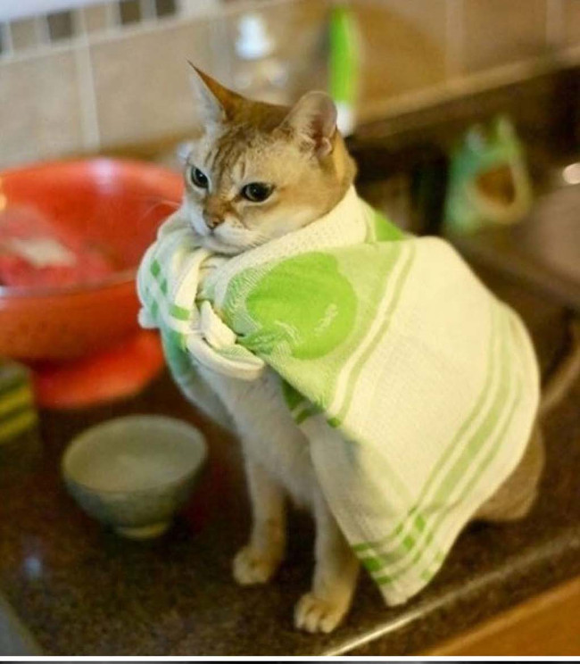 Bộ ảnh siêu “bựa” sẽ khiến bạn khâm phục khả năng Photoshop của con người 15