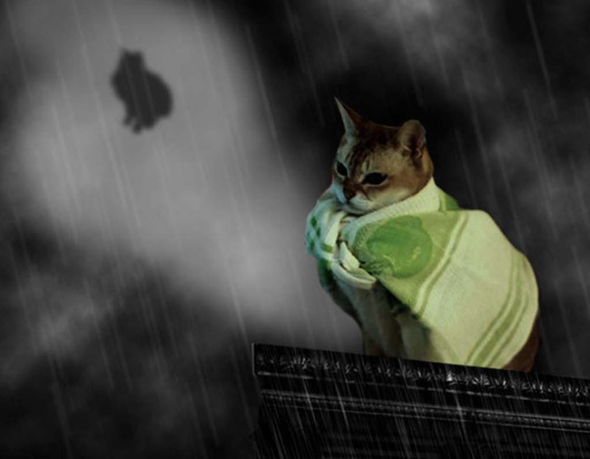 Bộ ảnh siêu “bựa” sẽ khiến bạn khâm phục khả năng Photoshop của con người 16