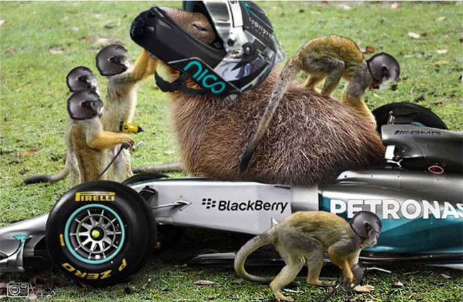 Bộ ảnh siêu “bựa” sẽ khiến bạn khâm phục khả năng Photoshop của con người 2