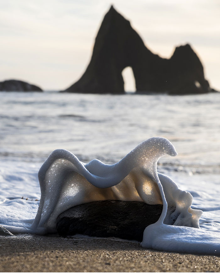 Người chụp chắc đã phải mất rất nhiều thời gian để bắt được khoảnh khắc hiếm hoi này