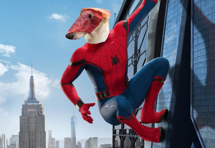 Chăm sóc da bất cứ khi nào có thể!