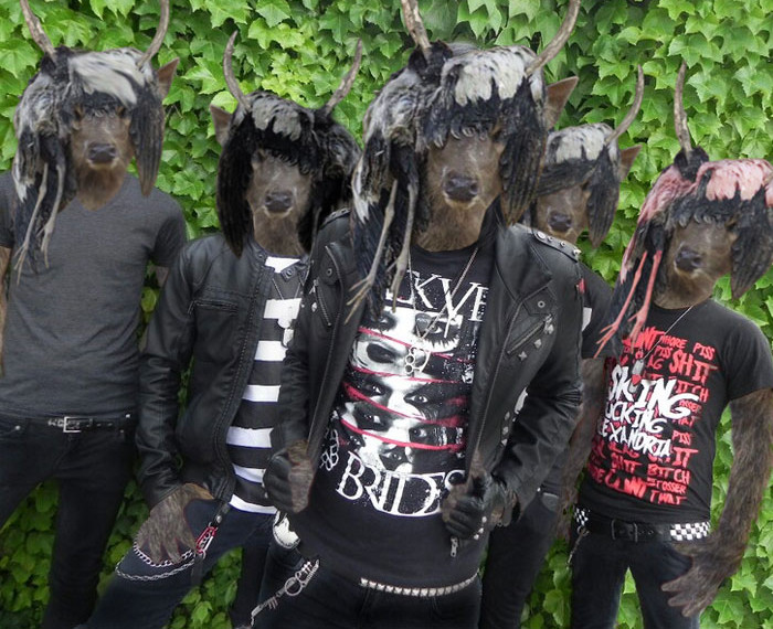 Bộ tóc “chim chết”