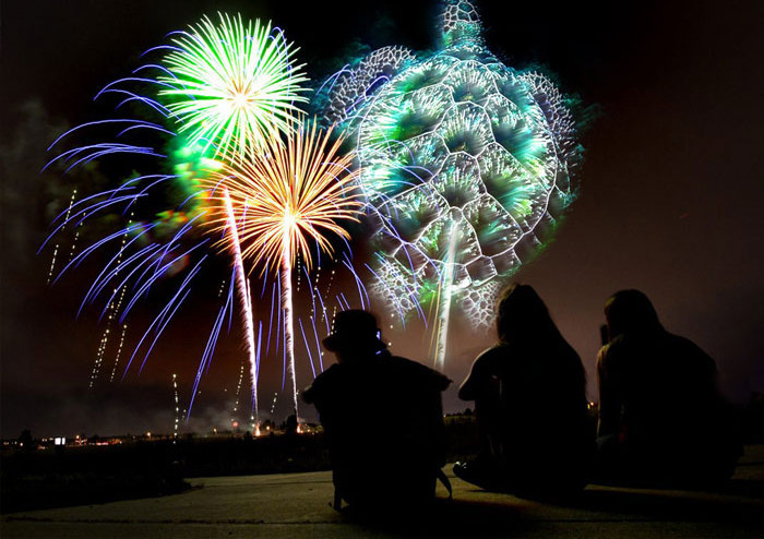 Thiên nhiên thật diệu kỳ!