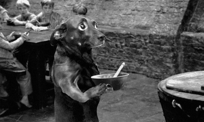 Đứng yên đế đo chiều cao nào!