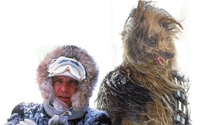 Đáng yêu quá mà!