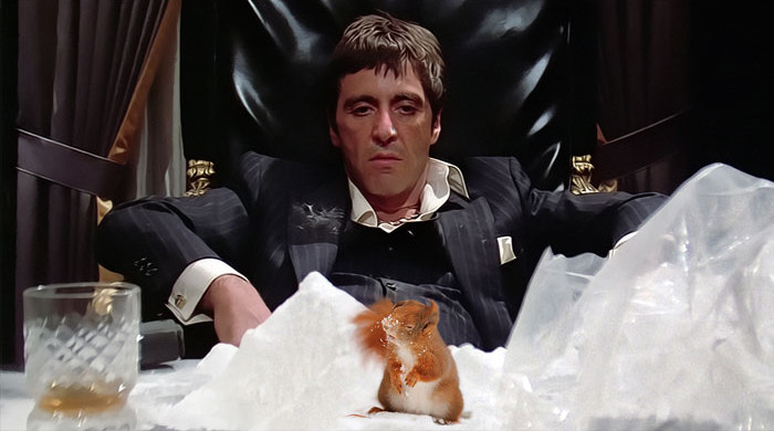 Đáng yêu quá đi mà!