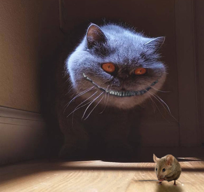 Nửa đêm mà thấy nguyên cái đầu này chắc xỉu!