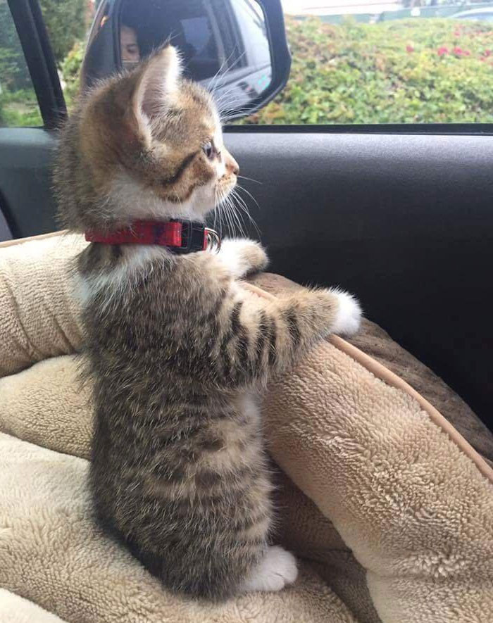 Để yên cho chị thể hiện!