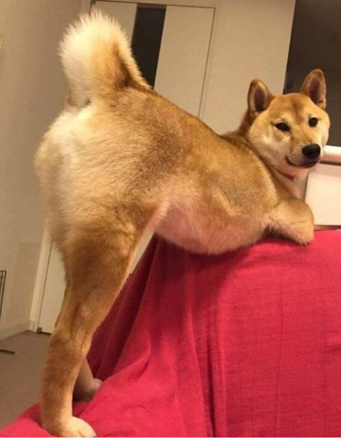 Số cho 3 vòng siêu chuẩn!