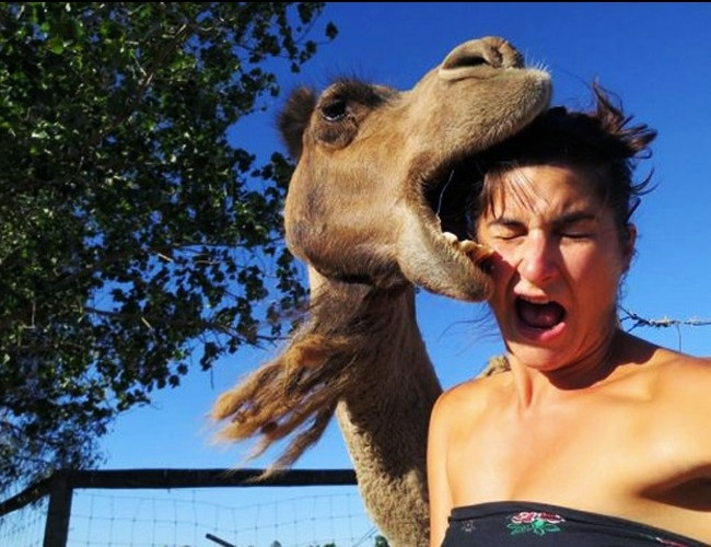 Nhìn cũng tội mà thôi kệ.