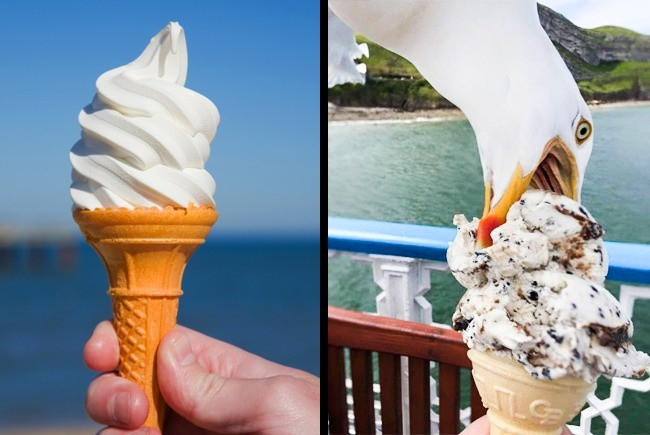 Khi bạn đã cố gắng làm mọi thứ hoàn hảo nhưng đời lại rất dở.