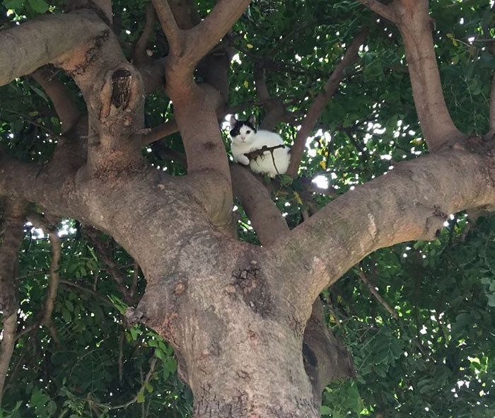 Cảnh giác với cả thế giới