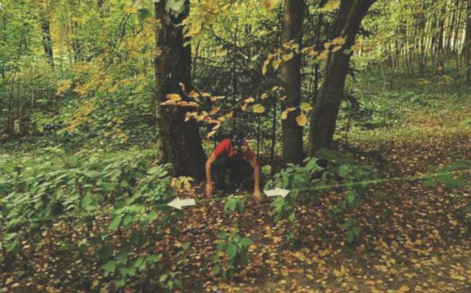 Loạt ảnh hài hước mà Google Maps đã ghi lại trên khắp đường phố thế giới 17