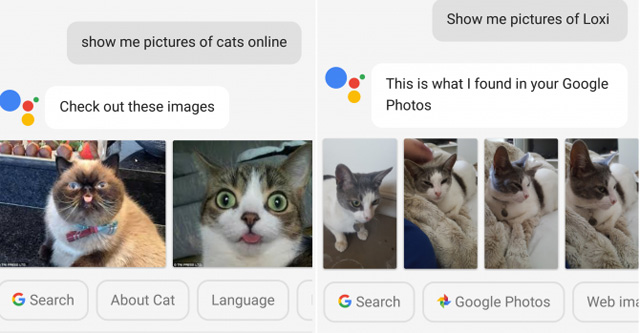 Lệnh hiển thị hình ảnh 