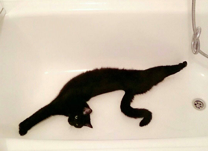 Chả hiểu nó nằm với tư thế gì cơ!