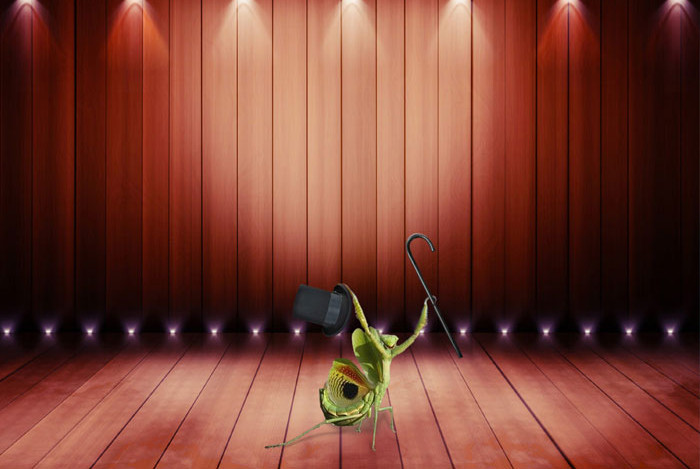 Bạn định sửa ảnh gốc này thế nào?