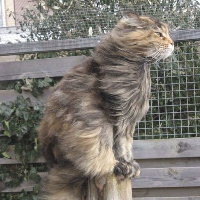 Lâu lắm mới được hít khí trời.