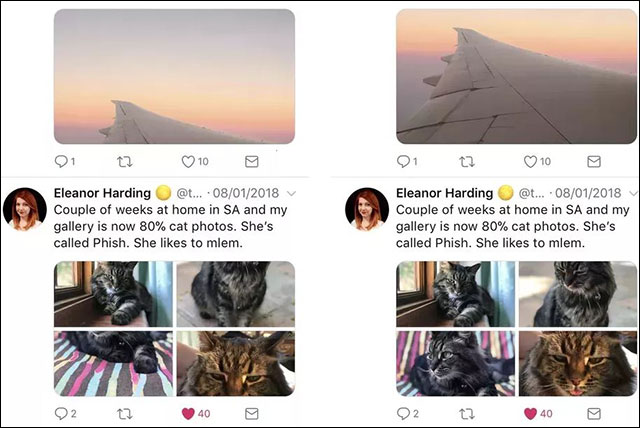 Ảnh Preview trước và sau khi cập nhật AI nhận diện ảnh của Twitter
