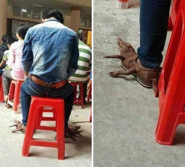 Đôi giày cá sấu