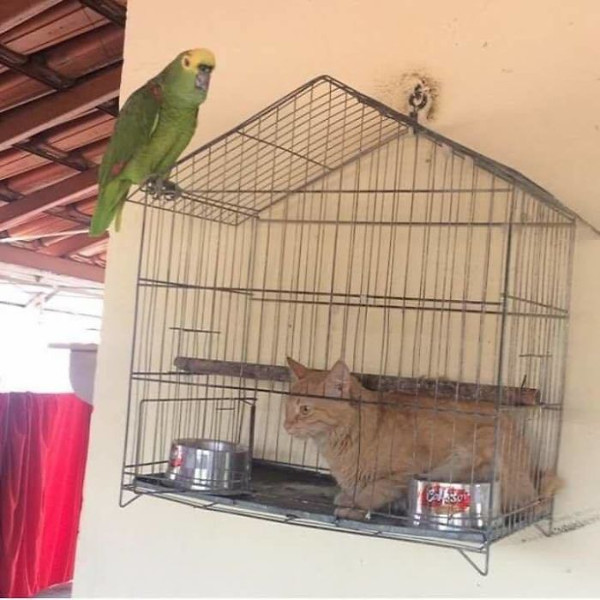 Khi bạn đặt không đúng vị trí