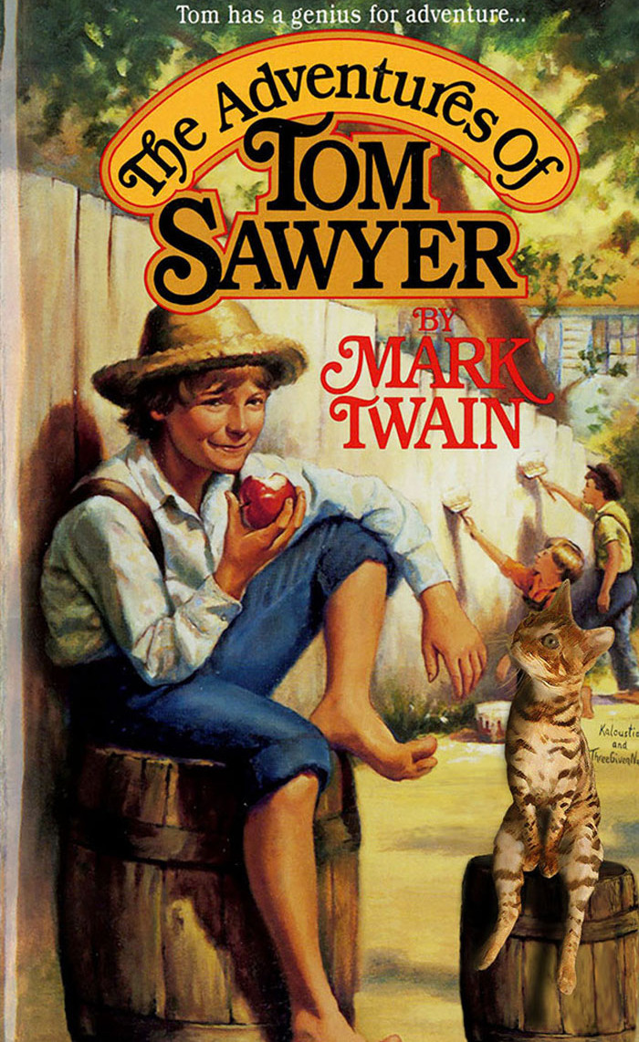 Ghế dành riêng cho boss mèo.