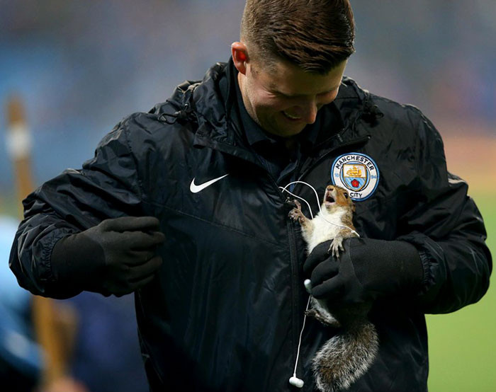 Con sóc này bị đuổi ra khỏi sân bóng đá.