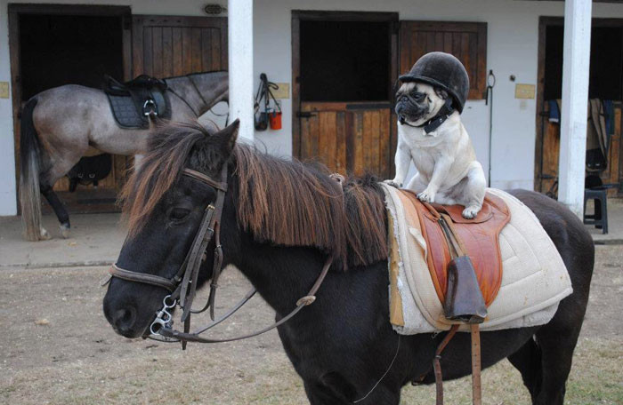 An toàn là trên hết!