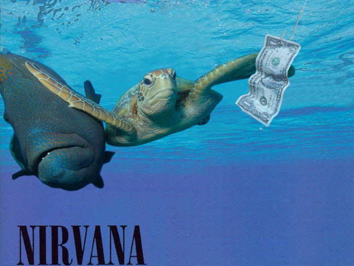 Ảnh chế rùa “vả” cá