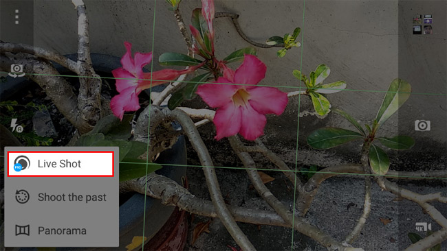 Kích hoạt Live Photos chọn Live Shot.